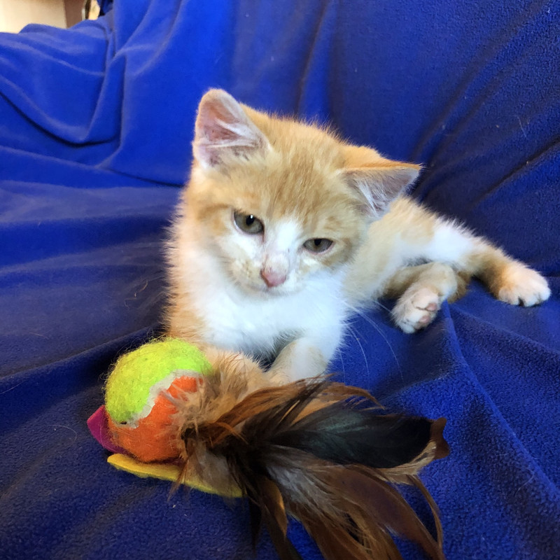 6379D361-E545-4E7B-8648-A39ED2D37910