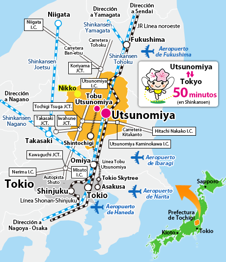 Utsunomiya-13-11-2024 - Japón y sus Pueblos-2024 (22)