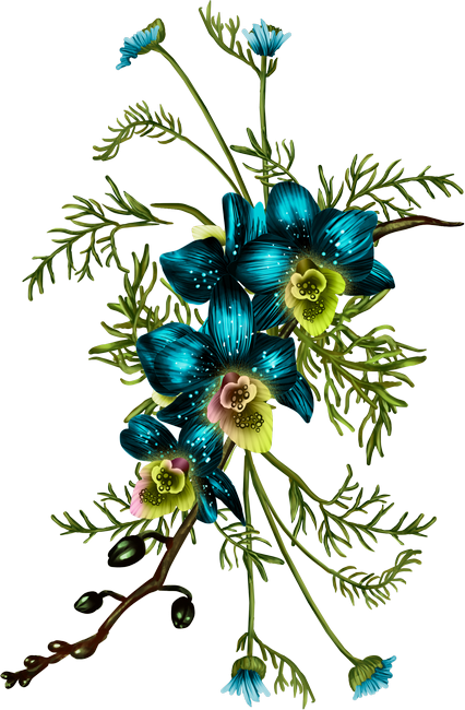 PeacockDreams_MM_Element (96)