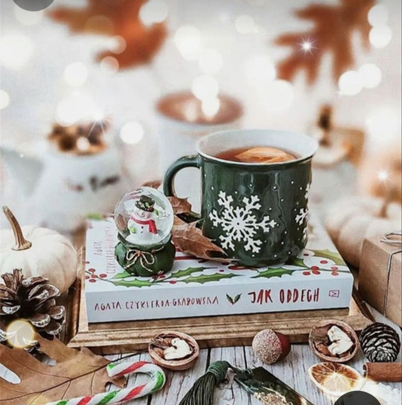 Screenshot_20231110_233110_Pinterest