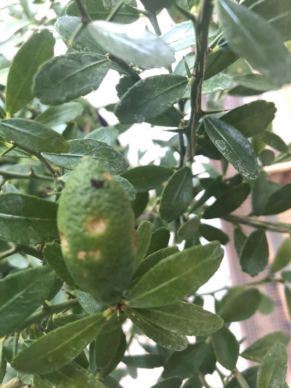 5880E06F-8962-4472-BDB7-6F31293DC6BC