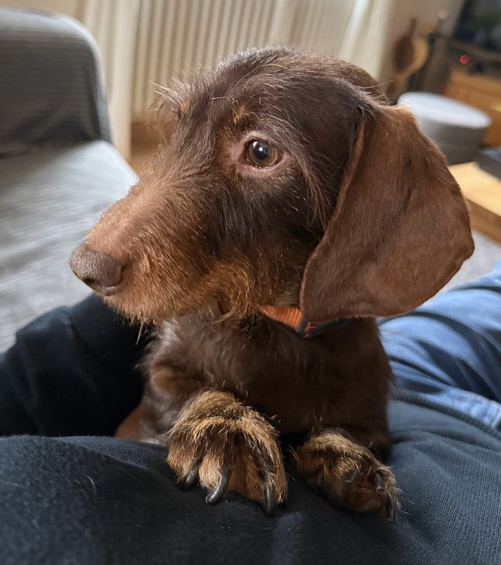 [Image: IMG-3508.jpg]