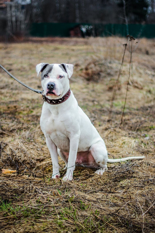 без имени-1150