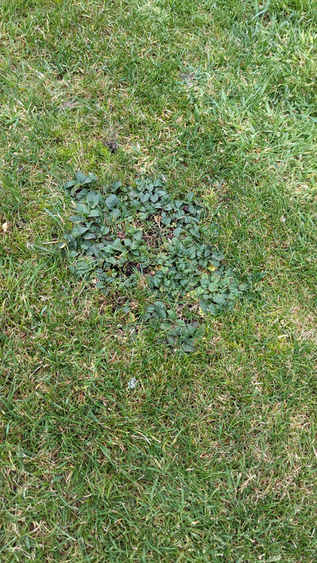 PXL_20231023_150007487