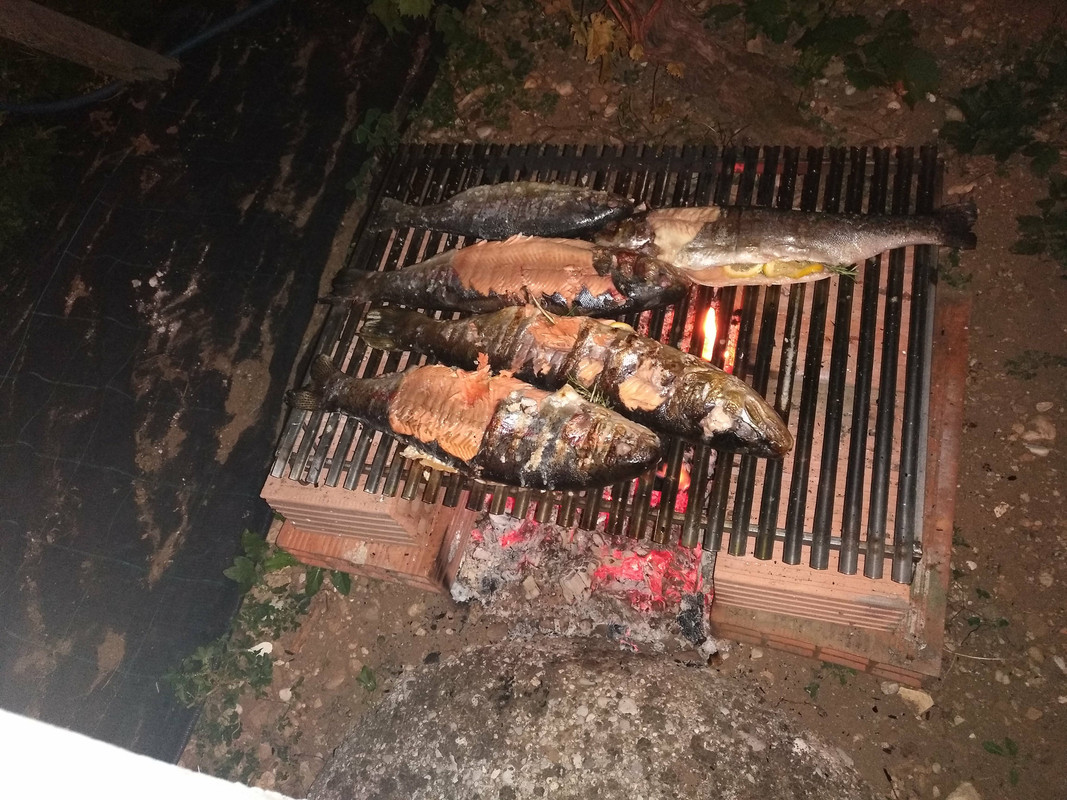 IMG_20180818_222628 (1)