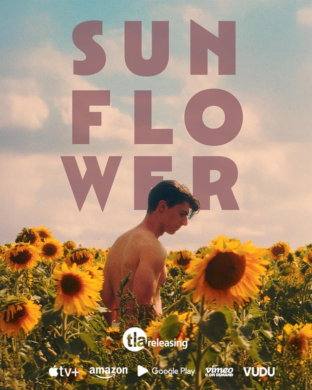 481778140-997761662416834-8899576436742990666-n