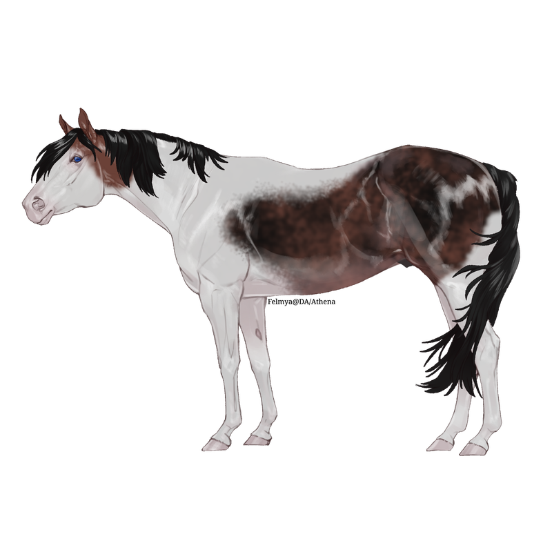 Untitled88-20250401100741.png