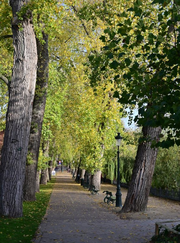 Otoño en Flandes - Blogs de Belgica - Día 2: El otoño en Brujas (11)