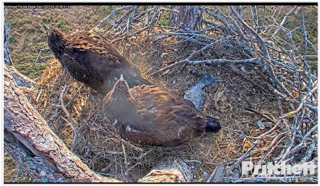 Screen Shot 03-28-23 at 02.42 PM