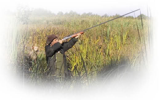 ördek avında uzatma şok