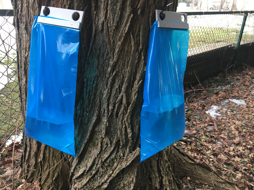 B6B89C2B-CB32-4C5E-91AB-9C24FB7D3595