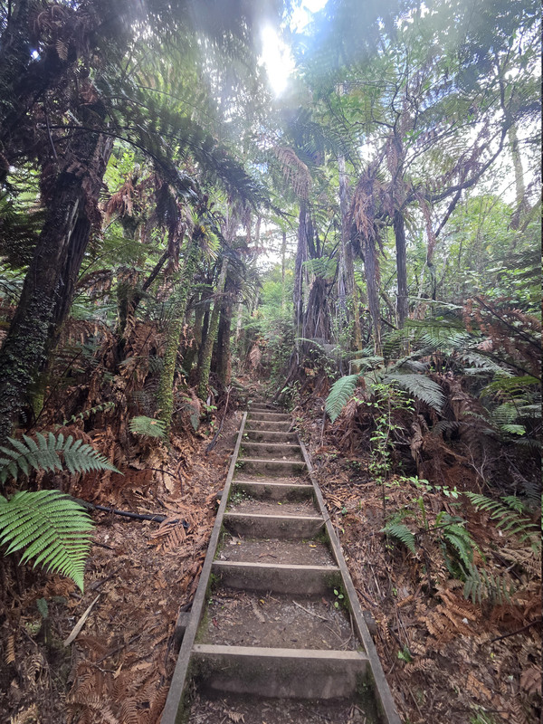 20260228 145548
