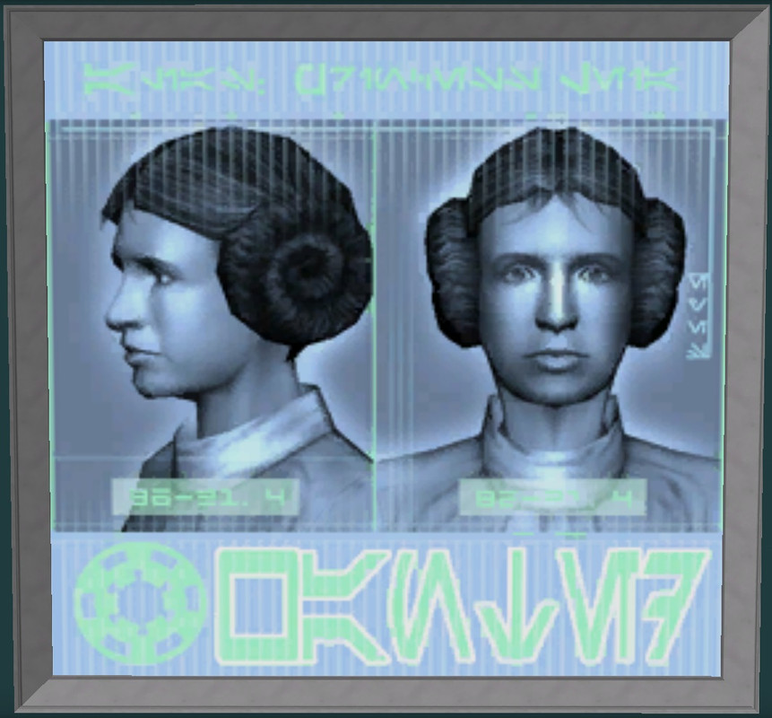 Wanted Poster Princess Leia Organa