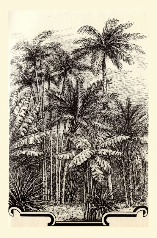 p0003
