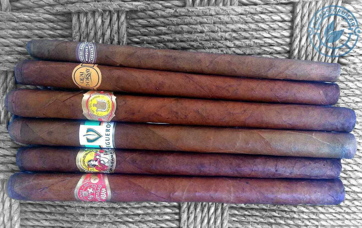 δεσποσύνες