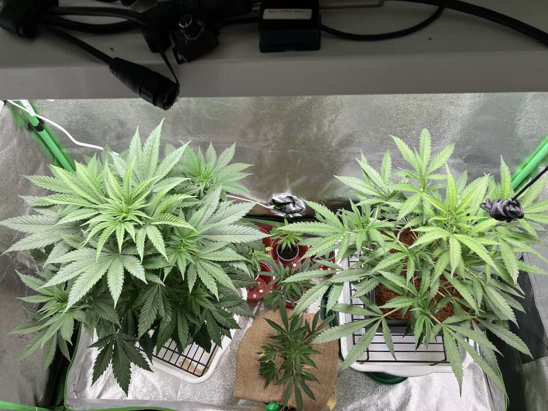 79E1DE49-735C-493B-8725-FACBCAD1EB18