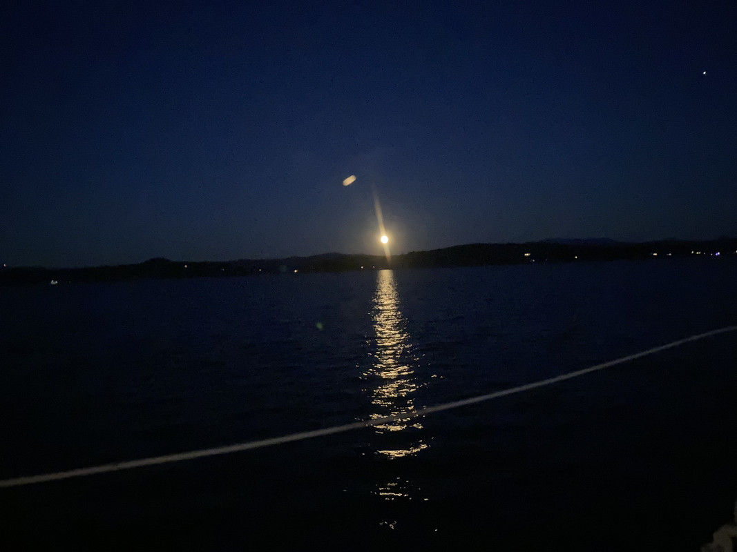 84C60C3A-9240-4BA0-B361-F60543FA09D5