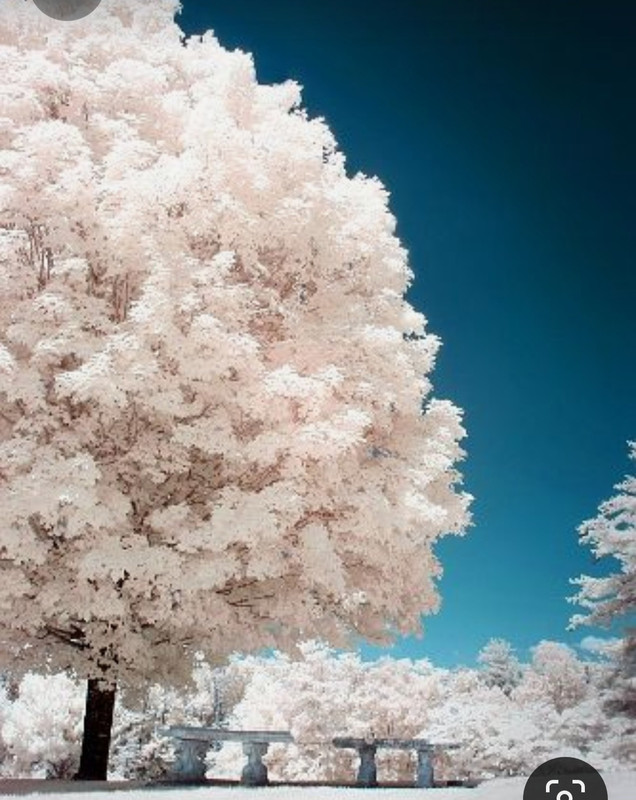 Screenshot_20230412_224821_Pinterest