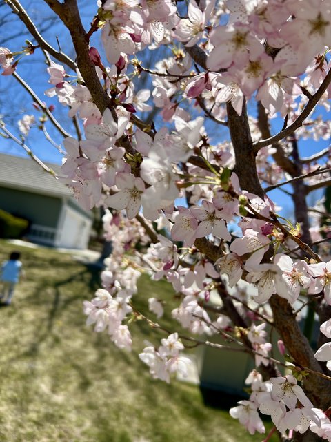 [Image: IMG-4700.jpg]