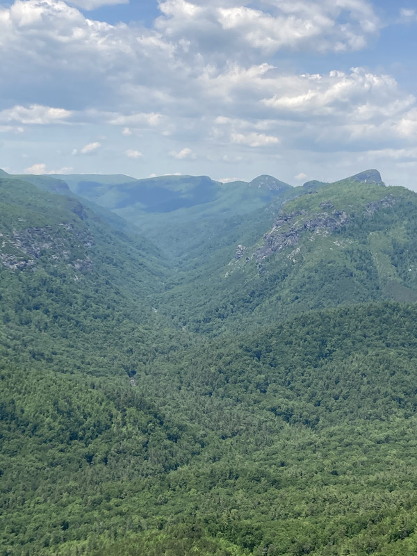 0C45AEDF-A518-48E4-B339-406154BBB3CF