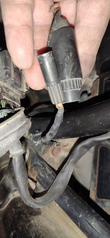 IMG_20240122_160338 (2)