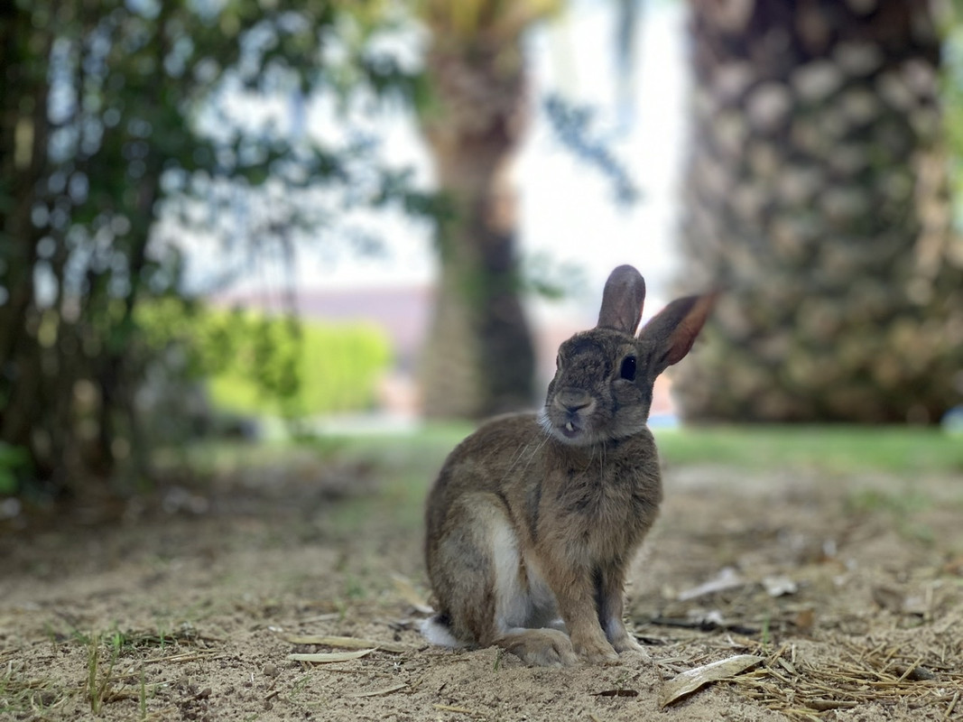 5884813A-32A8-47A4-BF4A-FC337994B3A4