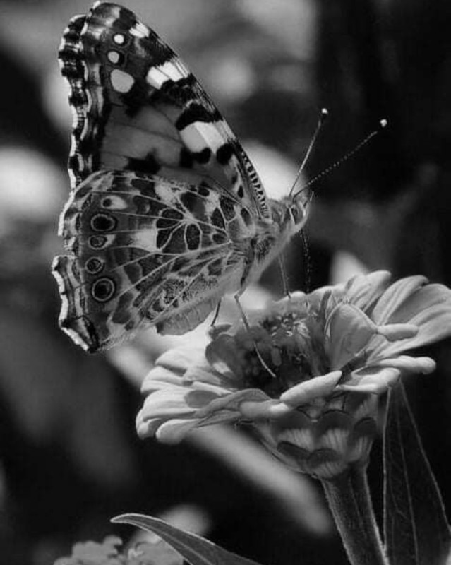 Screenshot_20221214-234006_Chrome