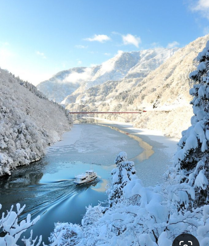 Screenshot_20231024_133542_Pinterest