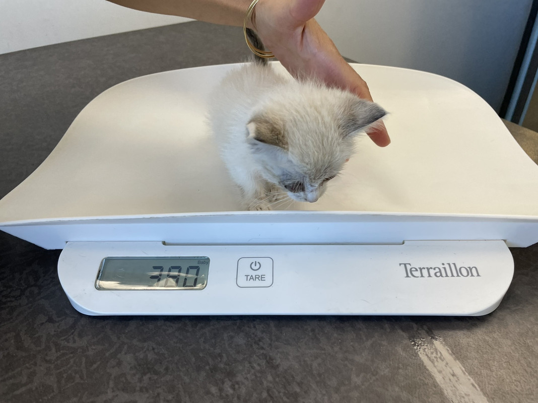 8182E838-7398-4CBF-A1B3-750CD52D0C73