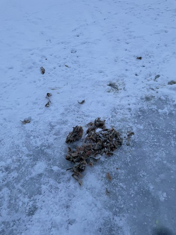 80837EC8-C554-44AD-990E-FE91979E9855