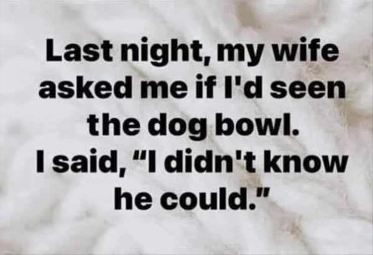 didn-t-know-the-dog-could-bowl.jpg