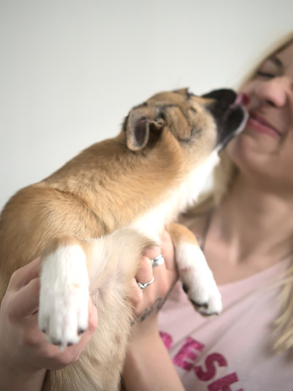 AC1C0CE9-8289-4D3F-805C-61D679A098EB