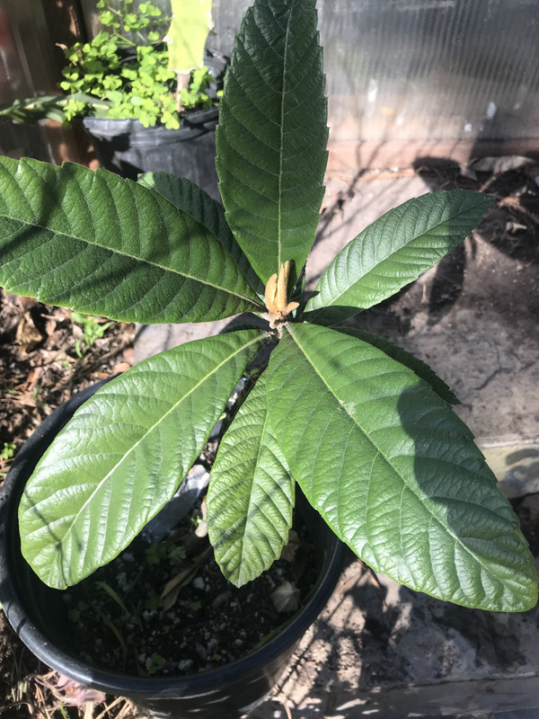 391228AB-2DB9-42B4-B1BC-2560CDEB9295