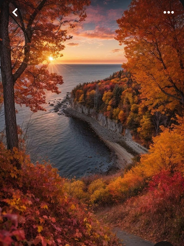 Screenshot_20240218_210146_Pinterest