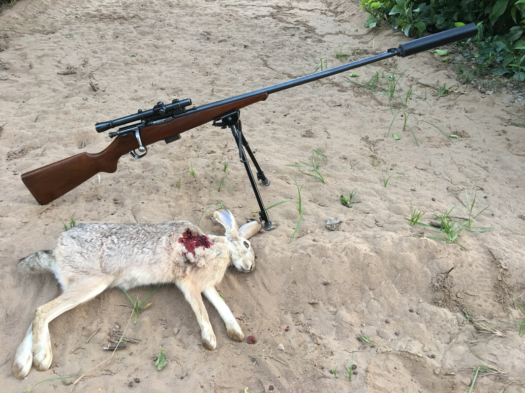 C1499802-125C-4EAF-9CE5-F62D9C780A99