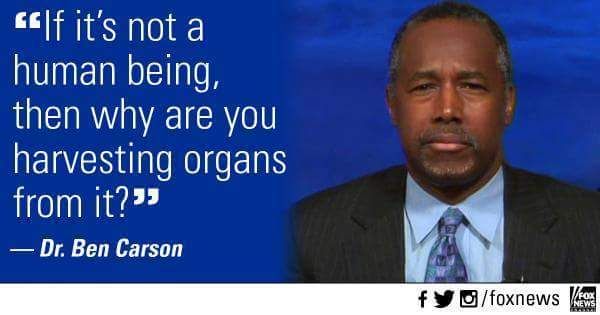 E9-FED440-17-B8-4737-A01-A-3019871-D79-D6