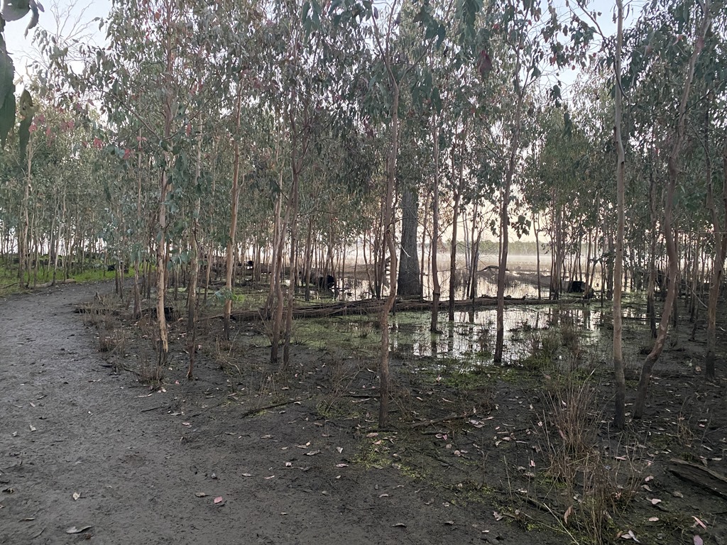 2022 (Jun) - Central (Nth) Qld Solo Trip(web) (134)