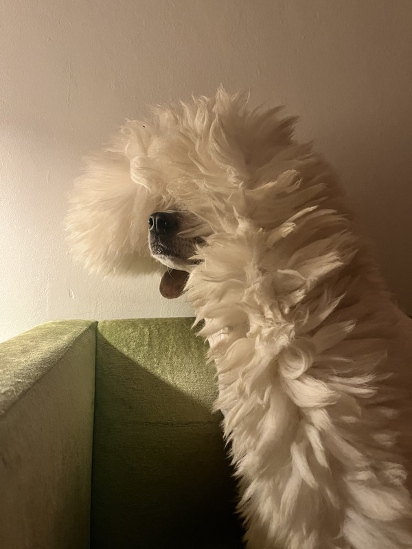 E22CEEFA-8045-42EA-AD29-997DDFC93077