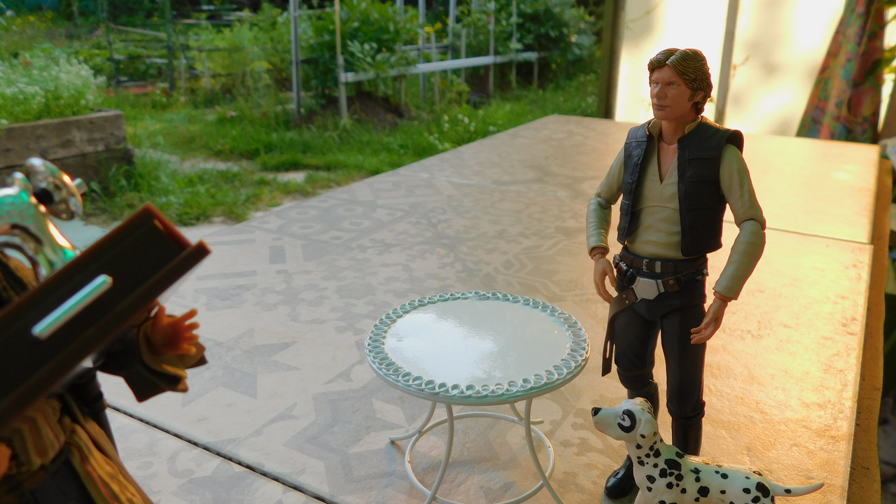 Дачно-Харлинский июнь-июль 2024 121