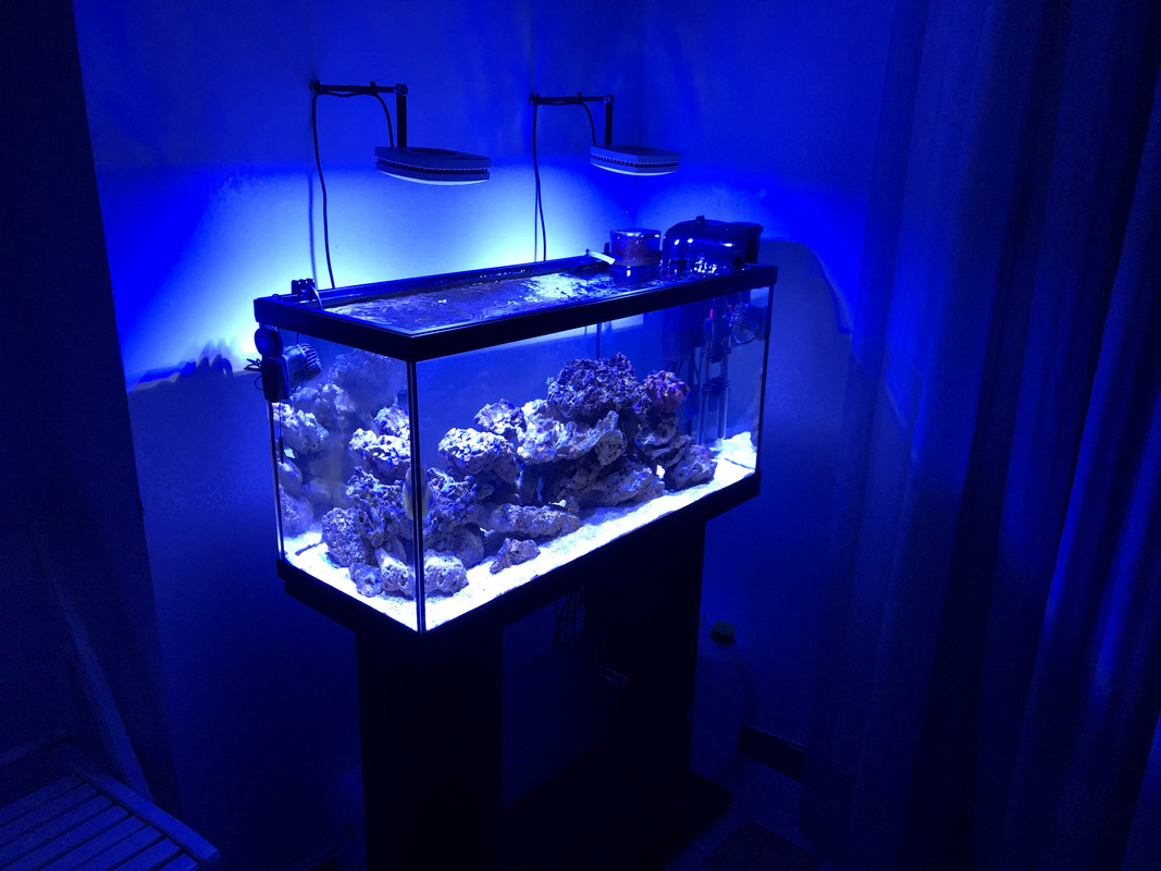 4E2848E5-02AB-4B63-A9EC-F48269C8DBD2