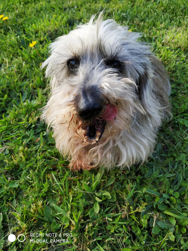 [Image: IMG-20220414-184656.jpg]