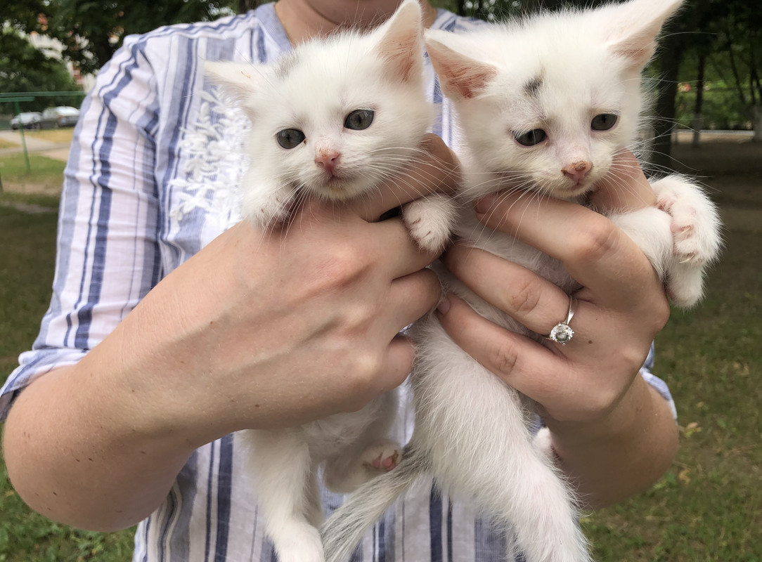 E1FB2889-3740-4D84-AACC-1DFC05B848A2