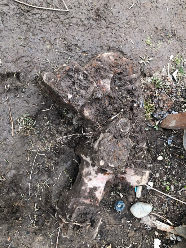 Без названия (4)