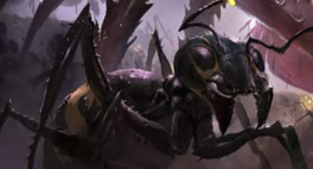 Black-Ant.png