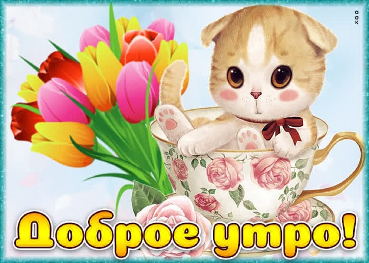 https://i.postimg.cc/hvX36NwF/IMG-20230108-WA0007.jpg