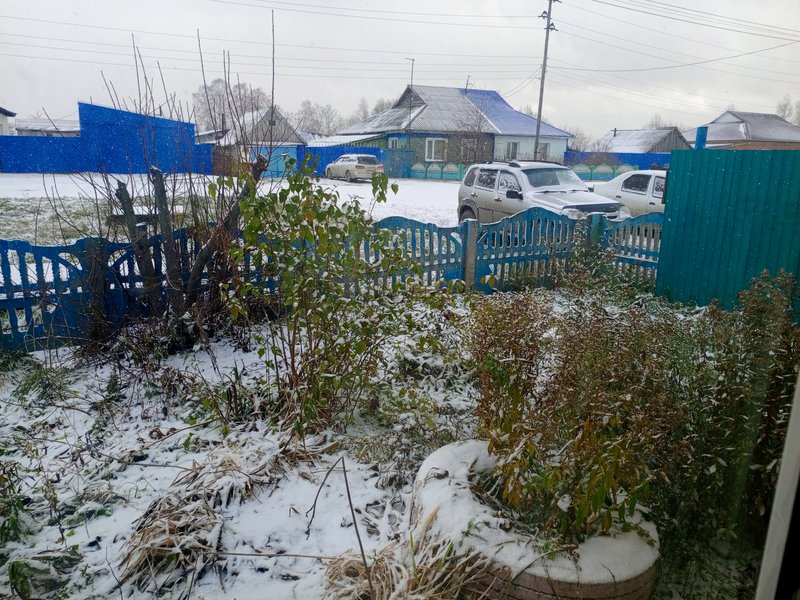 IMG_20231024_113449_698