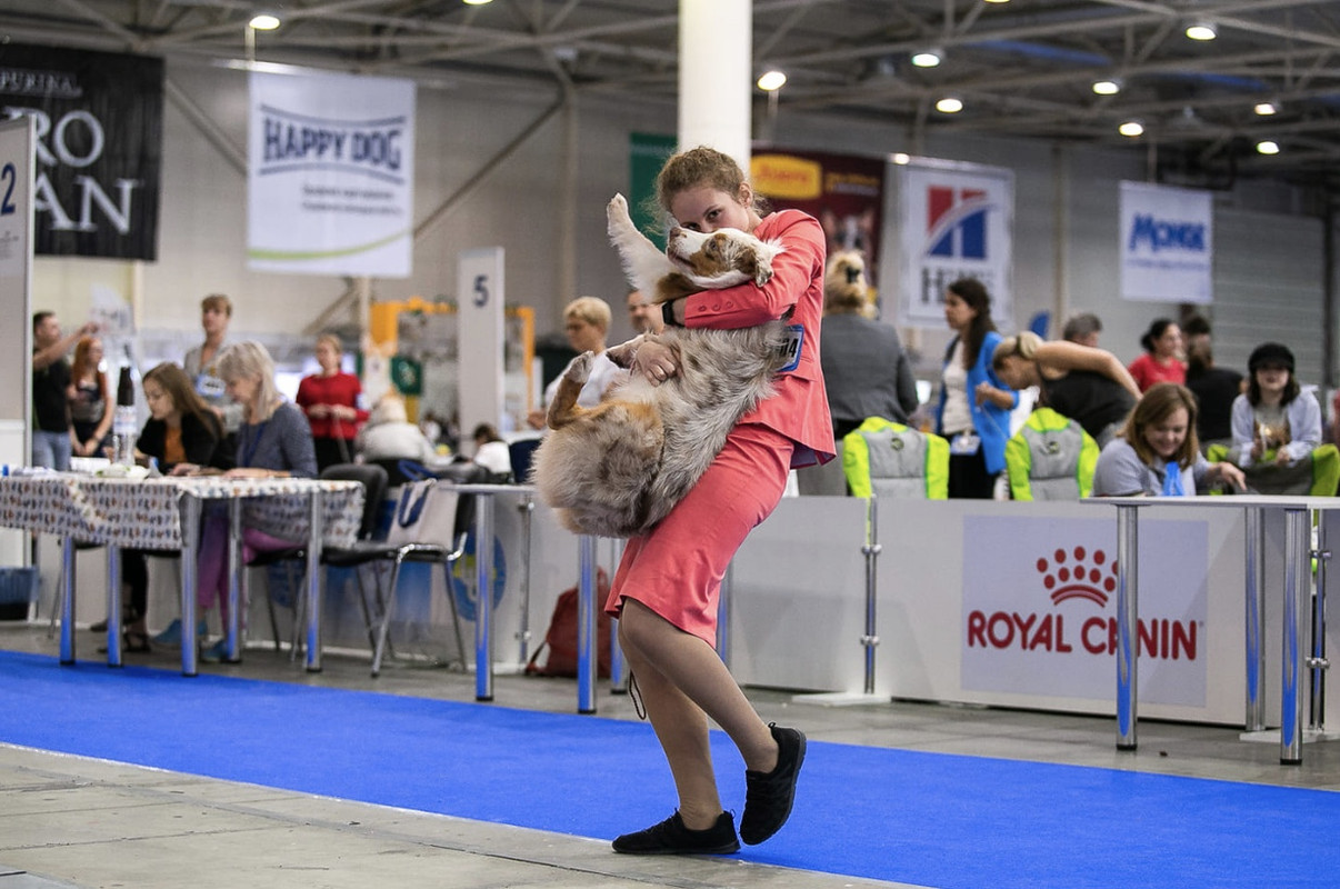 B3BAF1B3-DEA6-4A8B-A3AD-7CEC8AD130F2