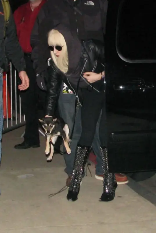 Lady-Gaga-in-Atlanta-with-New-Puppy-12-2