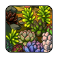 Succulents-II1.png