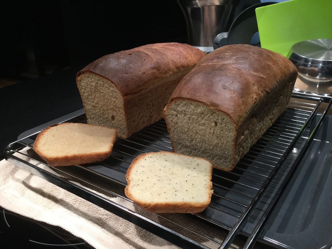 46446B20-D579-407B-BAD4-365E58565342